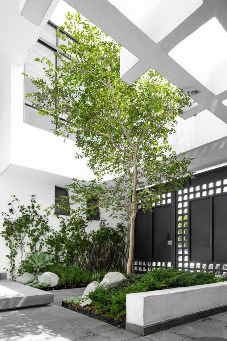Vị trí giếng trời